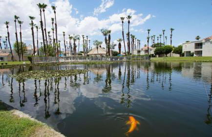 Desert Breezes Resort 1 Bedroom Suite with Resort Access - Foto 42