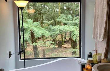 Pousada Alpes da Araucárias - Foto 24