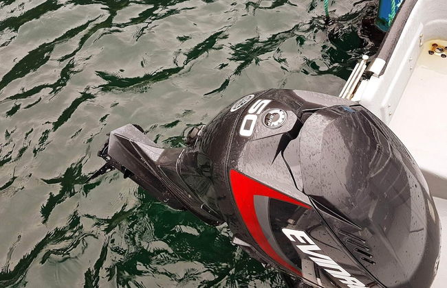 4 Person Holiday Home in Selje - Foto 26