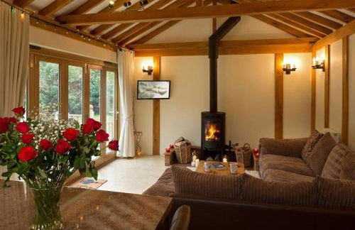 Owl's Hoot - Foto 17