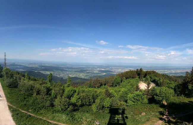 Apartment at the Edge of the Forest - Foto 29