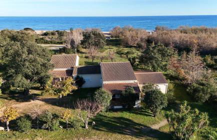 Palauma Plage - Foto 63