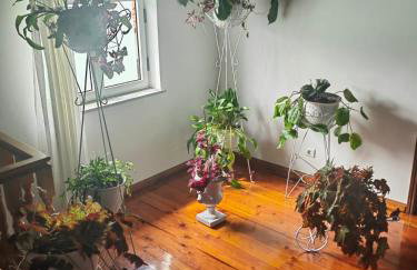 Nandes Place - Foto 33