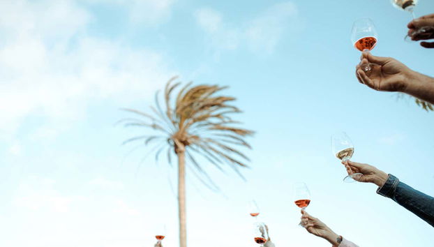 Visita a la bodega Vega de Yuco Testeina - Foto 4