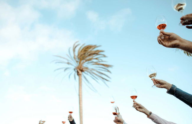 Vega de Yuco Testeina Winery Visit - Photo 4