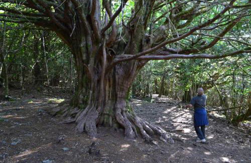 La Hoja de Roble - Photo 21