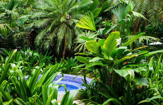 Casa Cerise - Foto 46