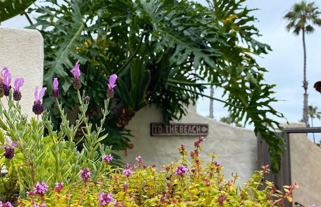 Oceanfront Hacienda - Photo 40