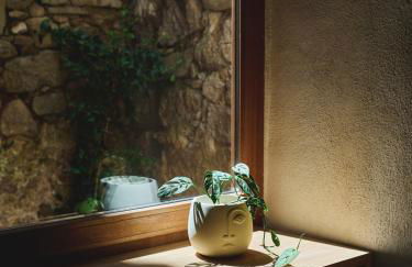 Ajaccio Hypercentre, Superbe appartement dans une ancienne écurie du XVIIIe Siècle - Foto 22