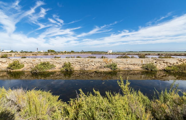 Apartamentos Mar y Sal - Foto 39