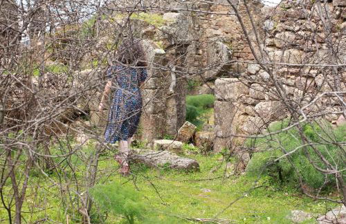 La Grulla Gris - Foto 10