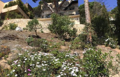 Can De Pino vue mer - Foto 47