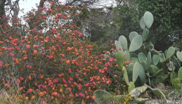 Apartamento Illa Blanca - Foto 1