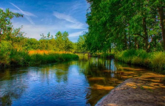 Lodge in Schaijk With Enclosed Garden - Photo 42