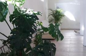 Corte Stellata Holiday Apartments - Photo 65