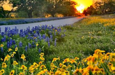 El Castellito on the Llano River - 4 Bed House - Foto 49