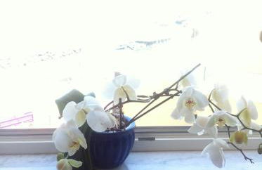 Excelsior Mare Suite - Foto 43