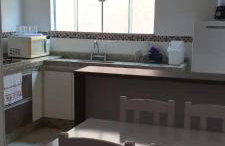 Ap 11 amarílis - Foto 5