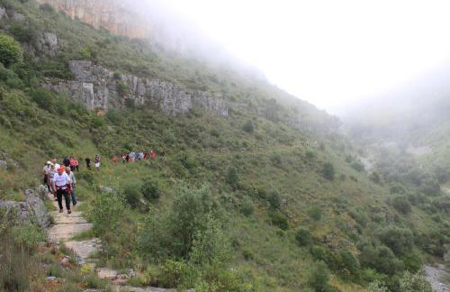 Quinta de São João - Foto 22