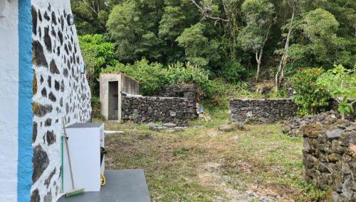 Casa da Mãe - Entre o Pico e a Maré - Photo 5, Garden