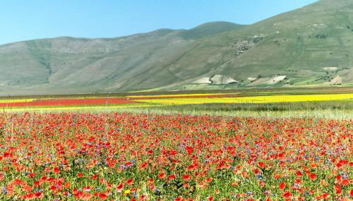 Casale dei Briganti - Photo 2