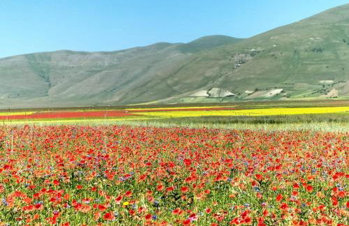 Casale dei Briganti - Foto 2