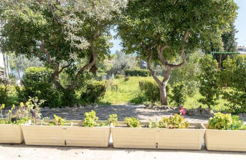 Villa Ariosa - Foto 31