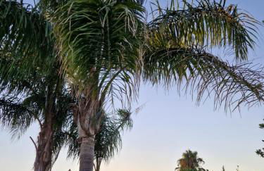 Villa Linda - Foto 18