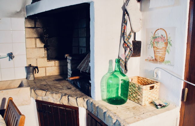 João Jungle - Foto 18