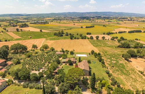 Il Querciolo - Azienda biologica, Agriturismo e Cantina - Photo 59