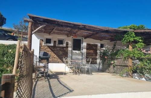 Studio GECKO Pego Longo - Foto 1