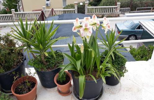 Apartment ANGIE 2 - Marjan Hill - Photo 22