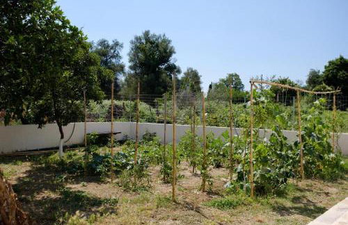 Villa Xampelo - Foto 21