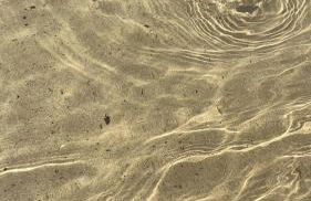 Sea & spiagge a 200m Stella del Salento - Foto 18