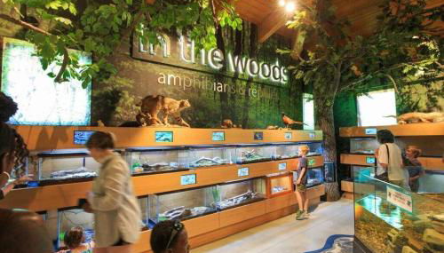 Newly Renovated Carriage House Near Town & Beaches - Foto 2