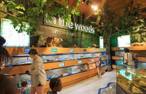 Newly Renovated Carriage House Near Town & Beaches - Foto 2