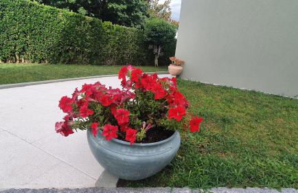 Barrio Apartments - Foto 23