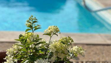 Haus PETIT REVE in Oppède - Foto 5, Garden