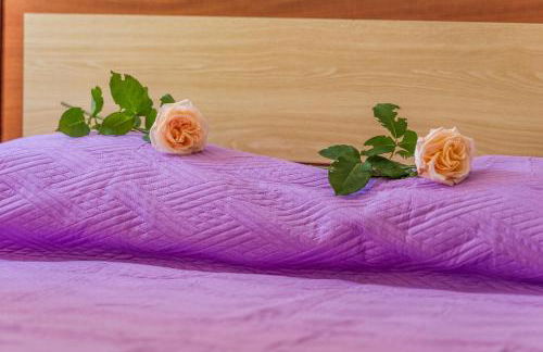 House of Gardenia - Foto 35