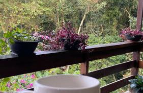 Chácara Recanto da Paz - Foto 7