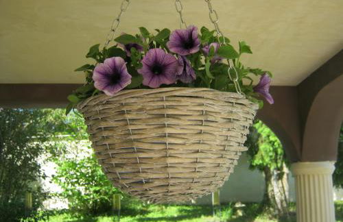 Grand appartement dans villa avec parking quartier résidentiel - Foto 15