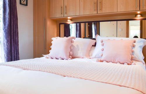 Bryn Bychan - Foto 12