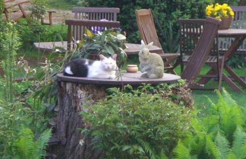 Spreewaldpension Beesk - Foto 1