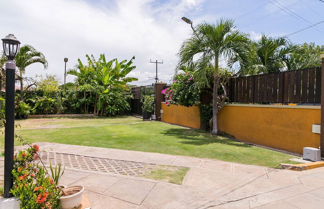 Botanic Bliss Living in Kingston - Photo 33