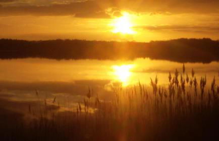 Ferienhof Kchischowka - Foto 13