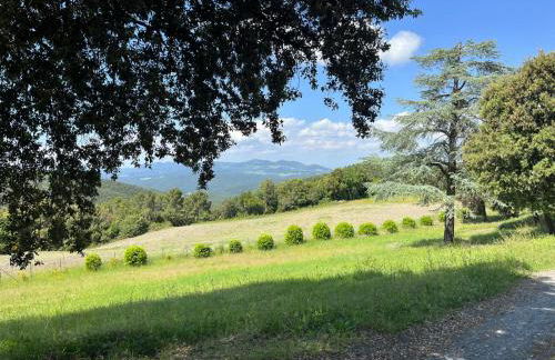 Agriturismo Aia Leccioni - Foto 28