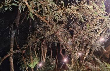 Casa da Serra borrussia - Foto 16