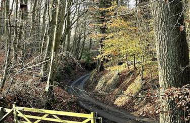 Perfectly Positioned Hambleden House - Foto 35