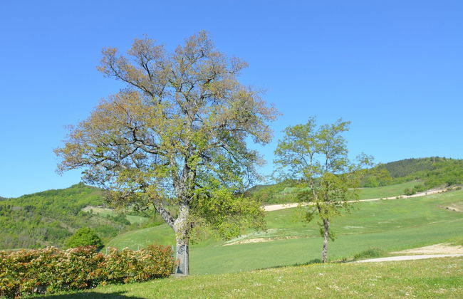 Belvilla by OYO Borgata Porpora Due - Photo 20