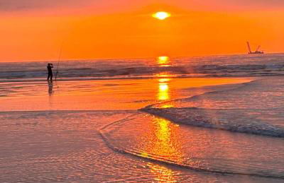 La cour d Anvers - Foto 40